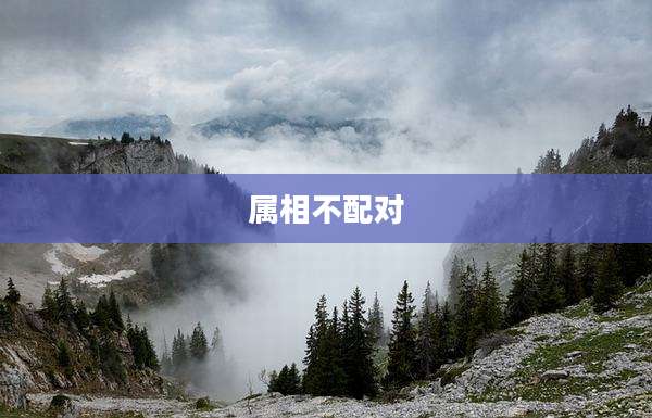 属相不配对