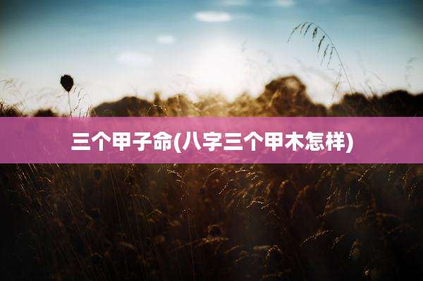 三个甲子命(八字三个甲木怎样)