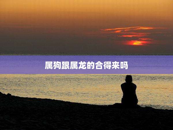 属狗跟属龙的合得来吗
