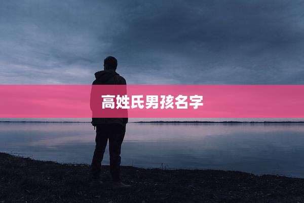 高姓氏男孩名字