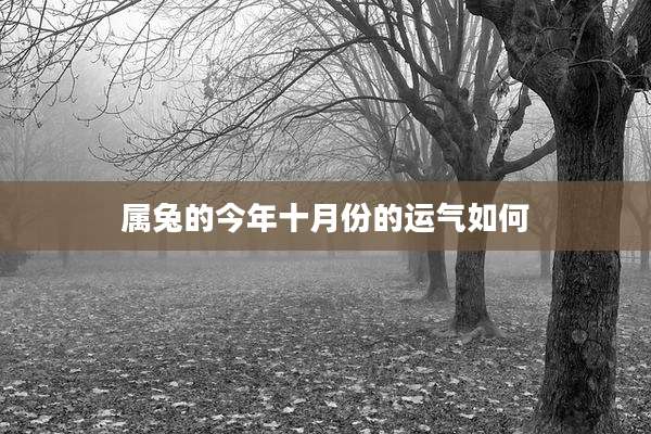 属兔的今年十月份的运气如何