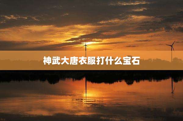 神武大唐衣服打什么宝石