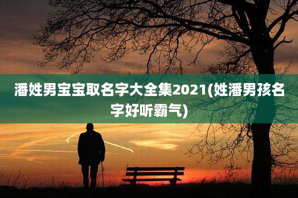 潘姓男宝宝取名字大全集2021(姓潘男孩名字好听霸气)