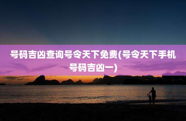 号码吉凶查询号令天下免费(号令天下手机号码吉凶一)