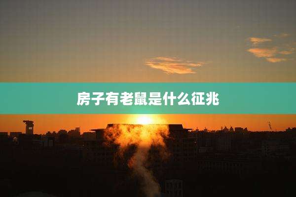 房子有老鼠是什么征兆