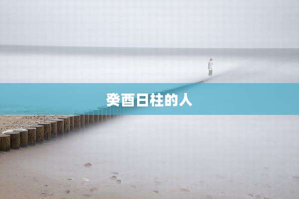 癸酉日柱的人