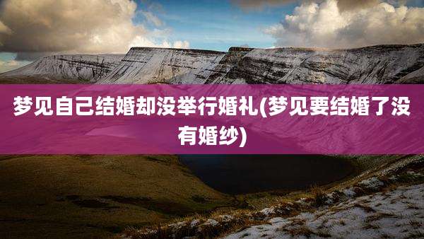 梦见自己结婚却没举行婚礼(梦见要结婚了没有婚纱)