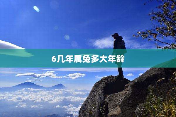 6几年属兔多大年龄