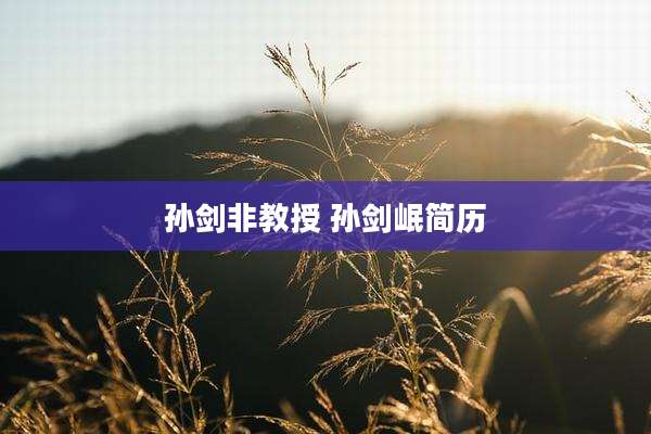 孙剑非教授 孙剑岷简历