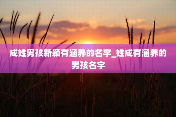 成姓男孩新颖有涵养的名字_姓成有涵养的男孩名字