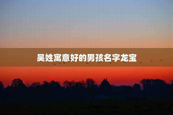吴姓寓意好的男孩名字龙宝