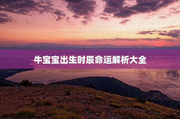 牛宝宝出生时辰命运解析大全