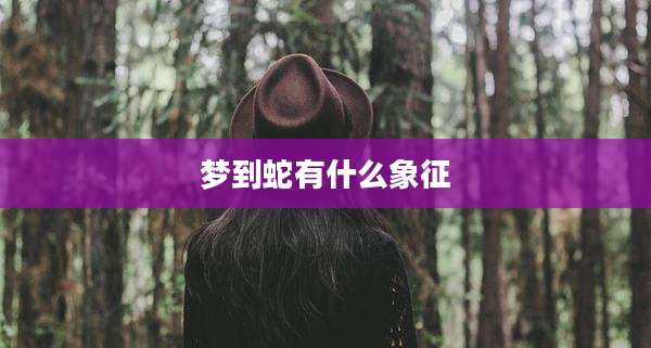 梦到蛇有什么象征