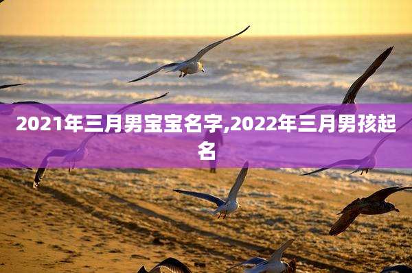 2021年三月男宝宝名字,2022年三月男孩起名