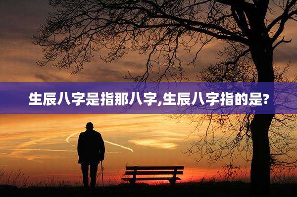 生辰八字是指那八字,生辰八字指的是?