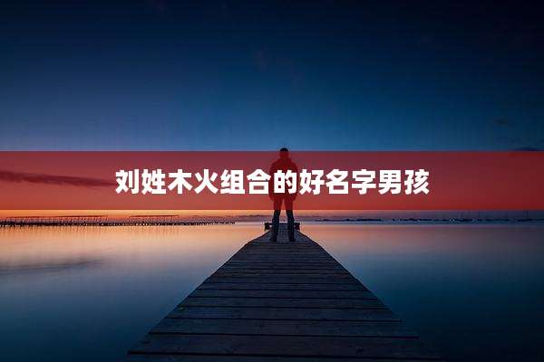 刘姓木火组合的好名字男孩