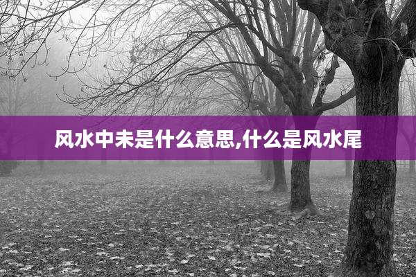 风水中未是什么意思,什么是风水尾