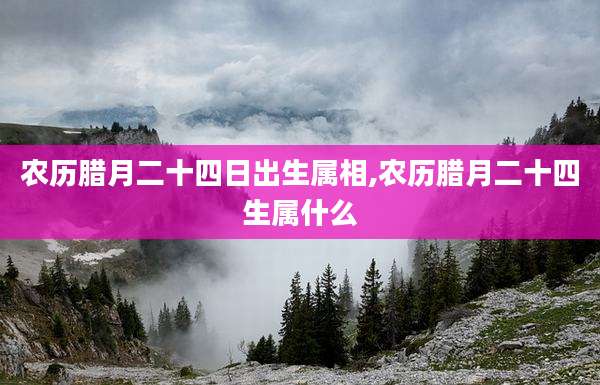 农历腊月二十四日出生属相,农历腊月二十四生属什么