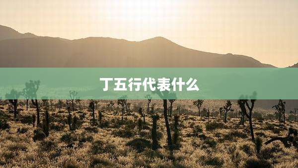 丁五行代表什么