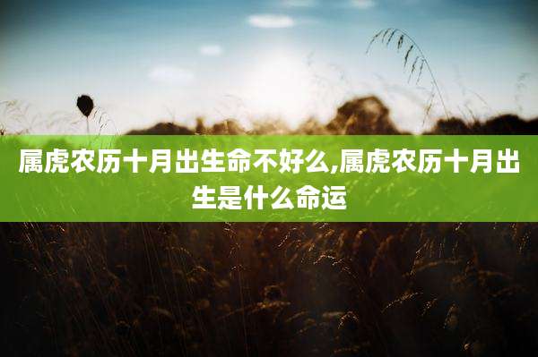 属虎农历十月出生命不好么,属虎农历十月出生是什么命运