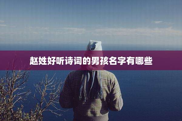 赵姓好听诗词的男孩名字有哪些