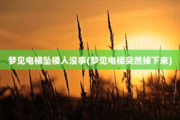 梦见电梯坠楼人没事(梦见电梯突然掉下来)