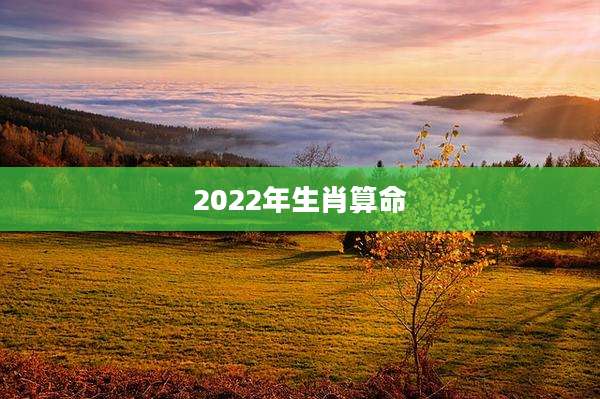 2022年生肖算命