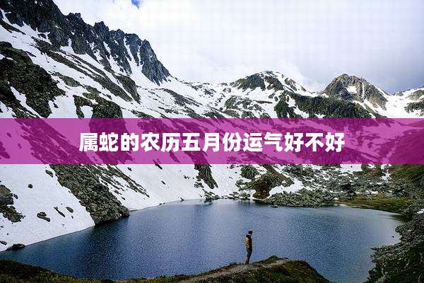 属蛇的农历五月份运气好不好