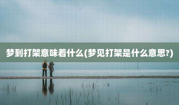 梦到打架意味着什么(梦见打架是什么意思?)