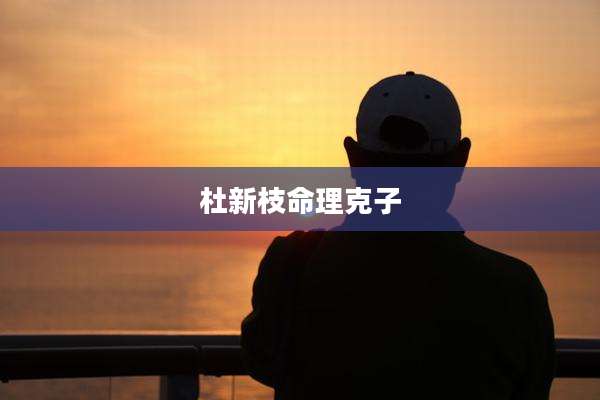 杜新枝命理克子