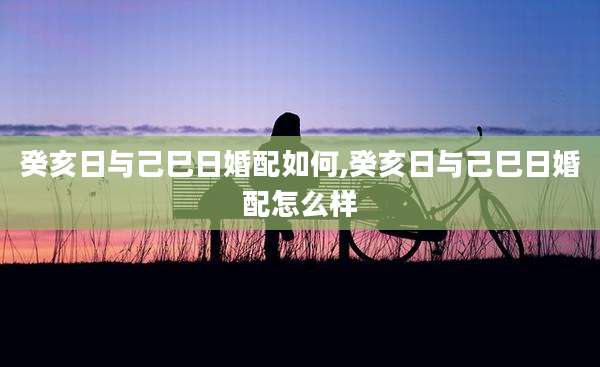 癸亥日与己巳日婚配如何,癸亥日与己巳日婚配怎么样