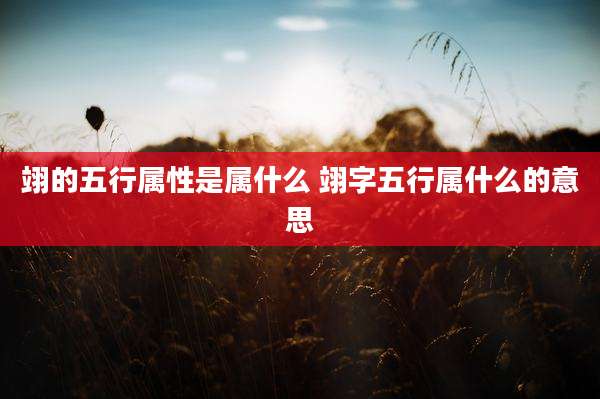 翊的五行属性是属什么 翊字五行属什么的意思