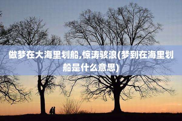 做梦在大海里划船,惊涛骇浪(梦到在海里划船是什么意思)