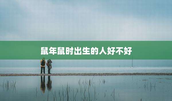 鼠年鼠时出生的人好不好