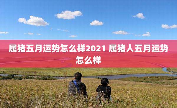 属猪五月运势怎么样2021 属猪人五月运势怎么样
