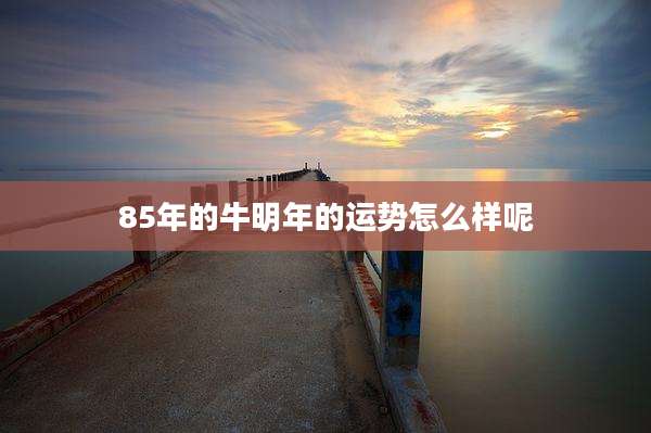 85年的牛明年的运势怎么样呢