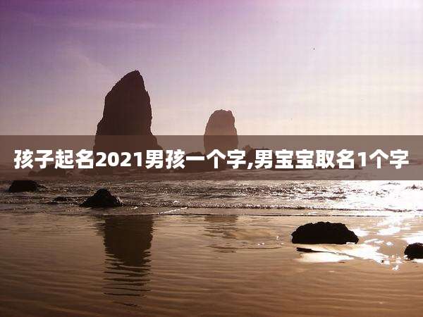 孩子起名2021男孩一个字,男宝宝取名1个字