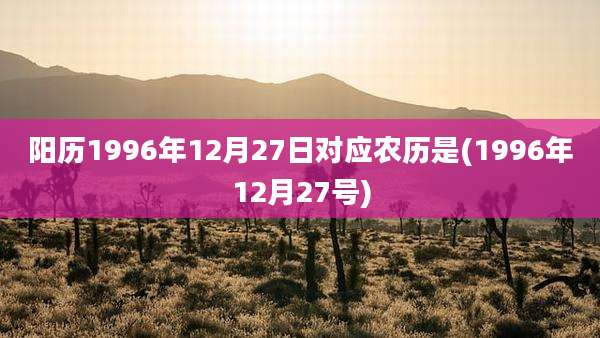 阳历1996年12月27日对应农历是(1996年12月27号)