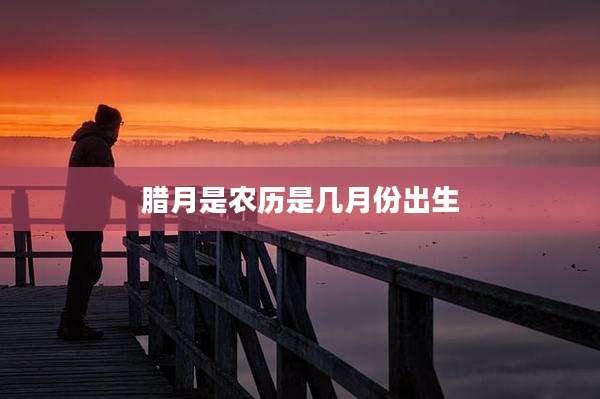 腊月是农历是几月份出生