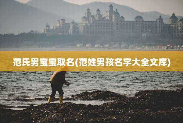 范氏男宝宝取名(范姓男孩名字大全文库)