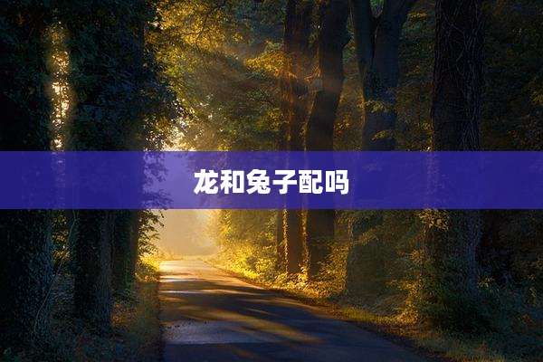 龙和兔子配吗