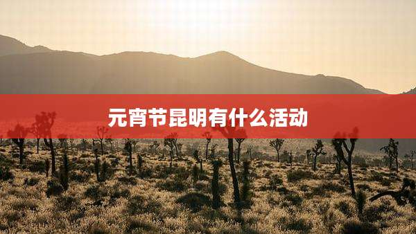 元宵节昆明有什么活动