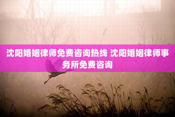 沈阳婚姻律师免费咨询热线 沈阳婚姻律师事务所免费咨询