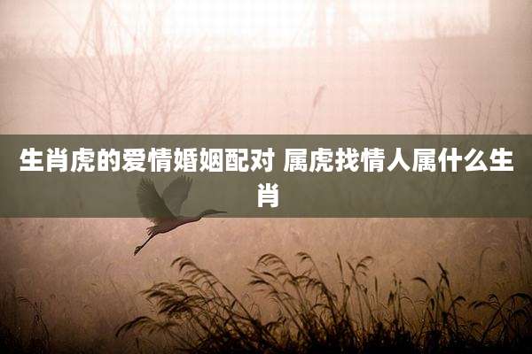 生肖虎的爱情婚姻配对 属虎找情人属什么生肖