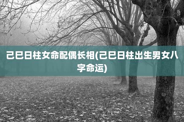 己巳日柱女命配偶长相(己巳日柱出生男女八字命运)