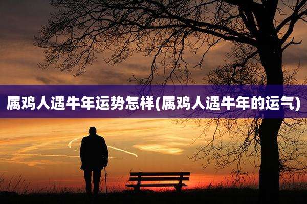 属鸡人遇牛年运势怎样(属鸡人遇牛年的运气)
