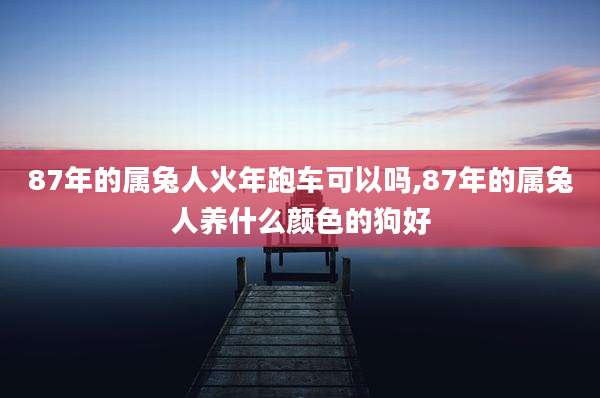 87年的属兔人火年跑车可以吗,87年的属兔人养什么颜色的狗好