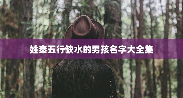 姓秦五行缺水的男孩名字大全集