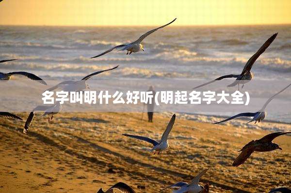 名字叫明什么好听(明起名字大全)