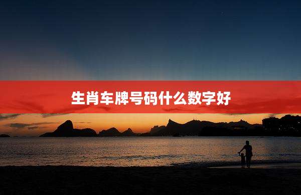 生肖车牌号码什么数字好
